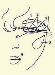 Иллюстрация к книге — Энциклопедия женской красоты и здоровья [i_559.jpg]