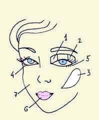 Иллюстрация к книге — Энциклопедия женской красоты и здоровья [i_560.jpg]