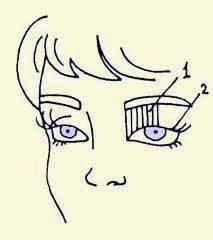 Иллюстрация к книге — Энциклопедия женской красоты и здоровья [i_607.jpg]