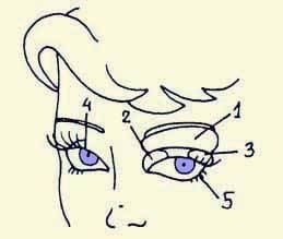 Иллюстрация к книге — Энциклопедия женской красоты и здоровья [i_613.jpg]