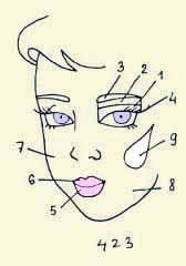 Иллюстрация к книге — Энциклопедия женской красоты и здоровья [i_620.jpg]