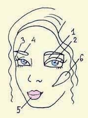 Иллюстрация к книге — Энциклопедия женской красоты и здоровья [i_629.jpg]