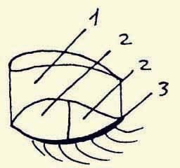 Иллюстрация к книге — Энциклопедия женской красоты и здоровья [i_635.jpg]