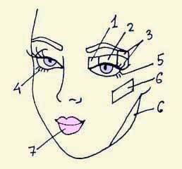 Иллюстрация к книге — Энциклопедия женской красоты и здоровья [i_637.jpg]