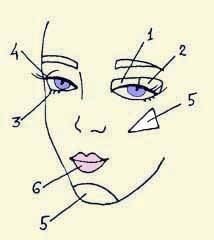 Иллюстрация к книге — Энциклопедия женской красоты и здоровья [i_639.jpg]