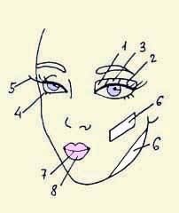 Иллюстрация к книге — Энциклопедия женской красоты и здоровья [i_641.jpg]