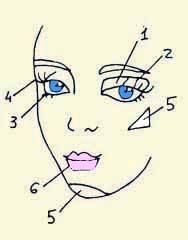 Иллюстрация к книге — Энциклопедия женской красоты и здоровья [i_644.jpg]