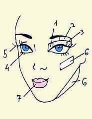 Иллюстрация к книге — Энциклопедия женской красоты и здоровья [i_646.jpg]