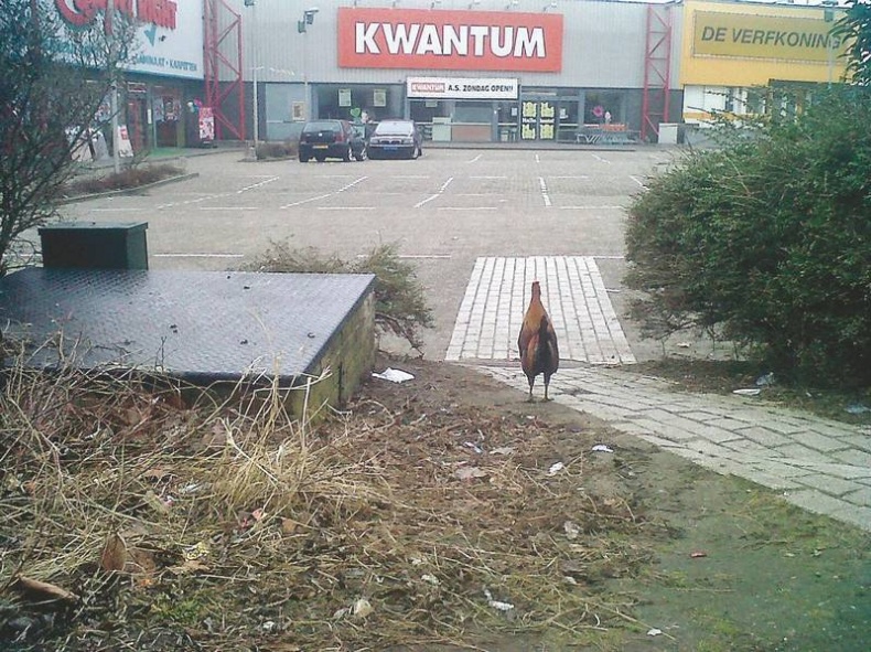 Иллюстрация к книге — Долбящий клавиши [i_008.jpg]