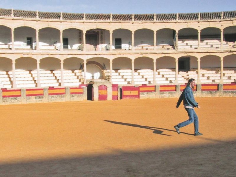 Иллюстрация к книге — Долбящий клавиши [i_028.jpg]