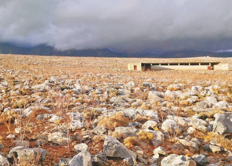 Иллюстрация к книге — Долбящий клавиши [i_077.jpg]