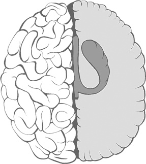Иллюстрация к книге — Музыка и мозг [i_021.jpg]