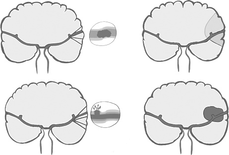 Иллюстрация к книге — Музыка и мозг [i_035.jpg]