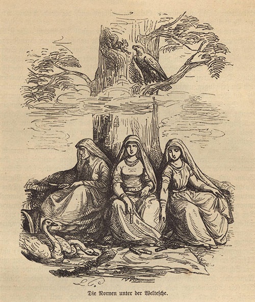 Иллюстрация к книге — Сага о Хранителях [_2.jpg]