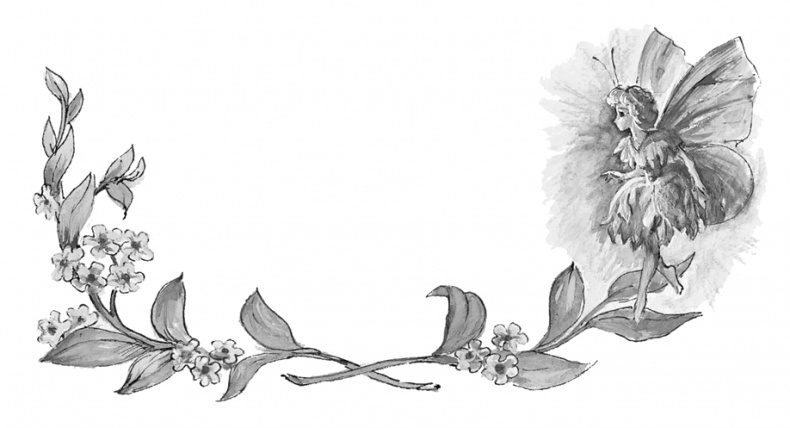 Иллюстрация к книге — Питер Пен [i_007.jpg]