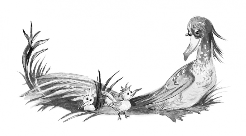 Иллюстрация к книге — Питер Пен [i_019.jpg]