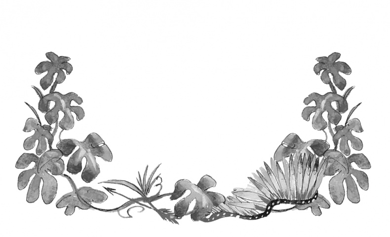 Иллюстрация к книге — Питер Пен [i_025.jpg]