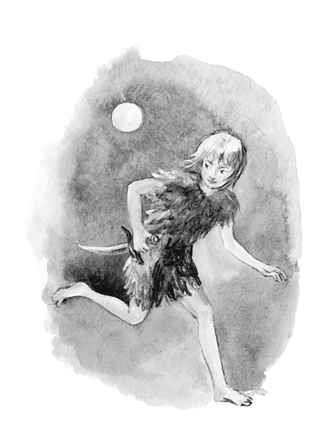 Иллюстрация к книге — Питер Пен [i_027.jpg]