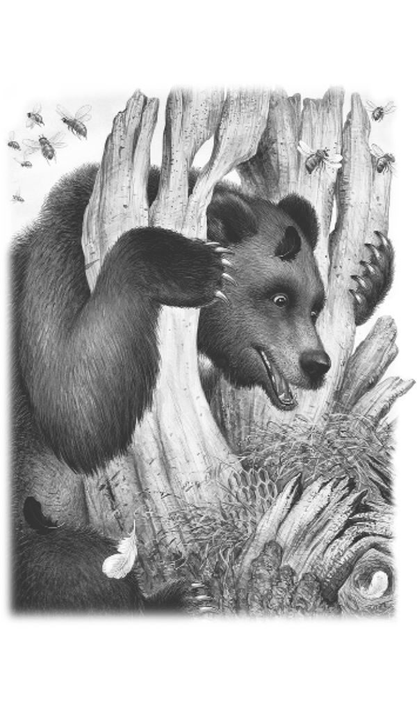 Иллюстрация к книге — Рассказы о природе [i_001.jpg]