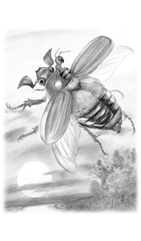 Иллюстрация к книге — Рассказы о природе [i_002.jpg]