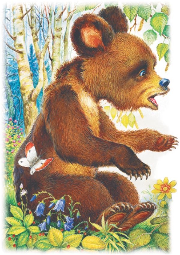 Иллюстрация к книге — Рассказы о природе [i_014.jpg]