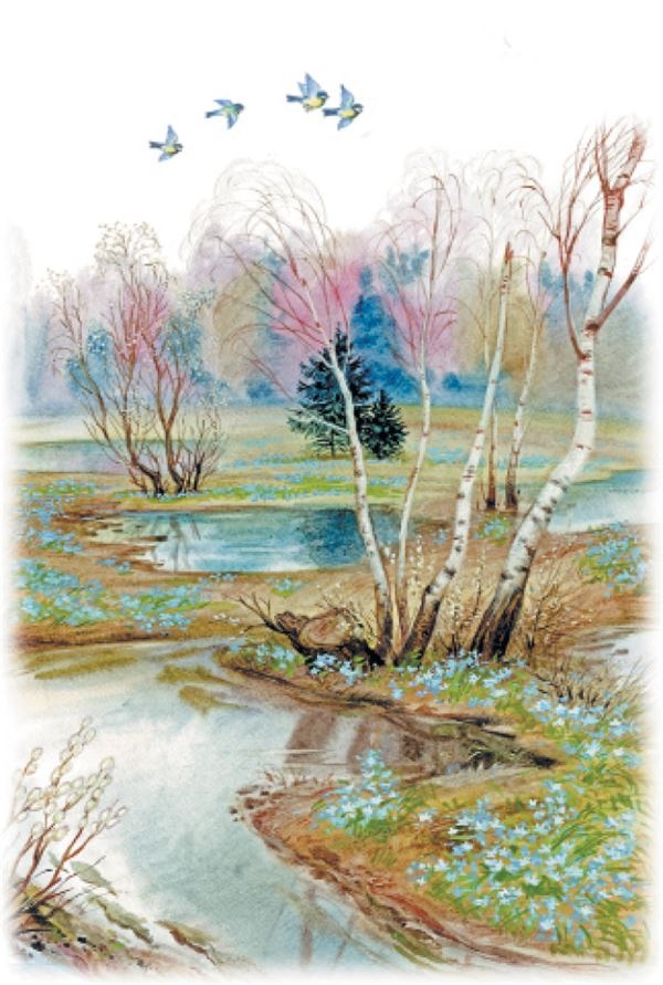 Иллюстрация к книге — Рассказы о природе [i_015.jpg]