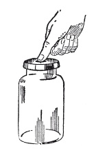 Иллюстрация к книге — Книга, которую читают все [i_014.jpg]