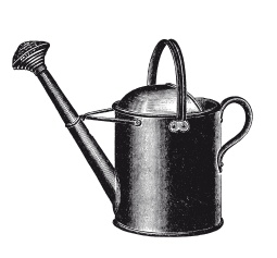 Иллюстрация к книге — Книга, которую читают все [i_017.jpg]