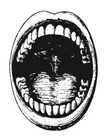 Иллюстрация к книге — Книга, которую читают все [i_018.jpg]