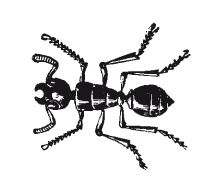 Иллюстрация к книге — Книга, которую читают все [i_044.jpg]