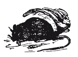 Иллюстрация к книге — Книга, которую читают все [i_045.jpg]