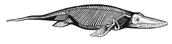 Иллюстрация к книге — Книга, которую читают все [i_050.jpg]