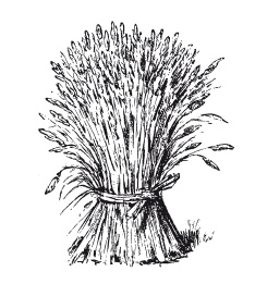 Иллюстрация к книге — Книга, которую читают все [i_051.jpg]