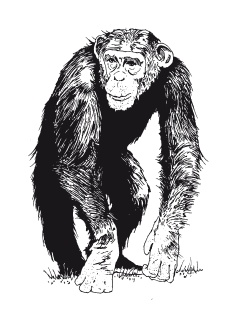 Иллюстрация к книге — Книга, которую читают все [i_054.jpg]