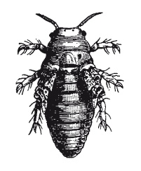 Иллюстрация к книге — Книга, которую читают все [i_061.jpg]