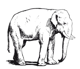 Иллюстрация к книге — Книга, которую читают все [i_082.jpg]