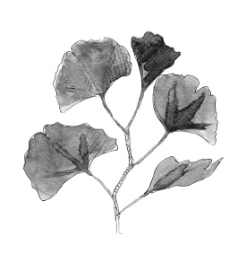 Иллюстрация к книге — Книга, которую читают все [i_086.jpg]