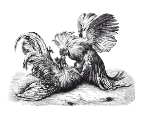 Иллюстрация к книге — Книга, которую читают все [i_116.jpg]