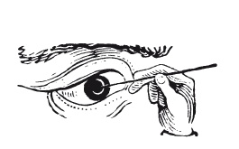 Иллюстрация к книге — Книга, которую читают все [i_144.jpg]