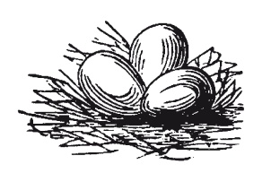 Иллюстрация к книге — Книга, которую читают все [i_173.jpg]