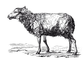 Иллюстрация к книге — Книга, которую читают все [i_188.jpg]