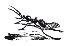 Иллюстрация к книге — Книга, которую читают все [i_190.jpg]