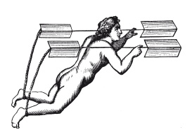 Иллюстрация к книге — Книга, которую читают все [i_205.jpg]