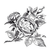 Иллюстрация к книге — Книга, которую читают все [i_206.jpg]