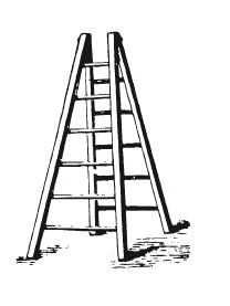 Иллюстрация к книге — Книга, которую читают все [i_215.jpg]