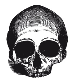 Иллюстрация к книге — Книга, которую читают все [i_238.jpg]