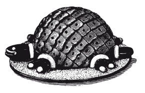 Иллюстрация к книге — Книга, которую читают все [i_256.jpg]