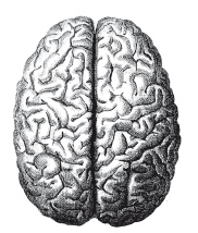 Иллюстрация к книге — Книга, которую читают все [i_269.jpg]