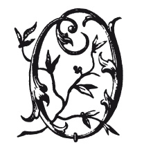 Иллюстрация к книге — Книга, которую читают все [i_298.jpg]