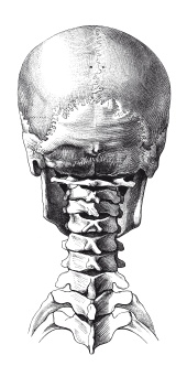 Иллюстрация к книге — Книга, которую читают все [i_314.jpg]